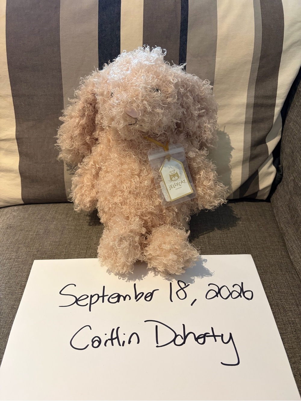 BNWT Jellycat Curly Bunny